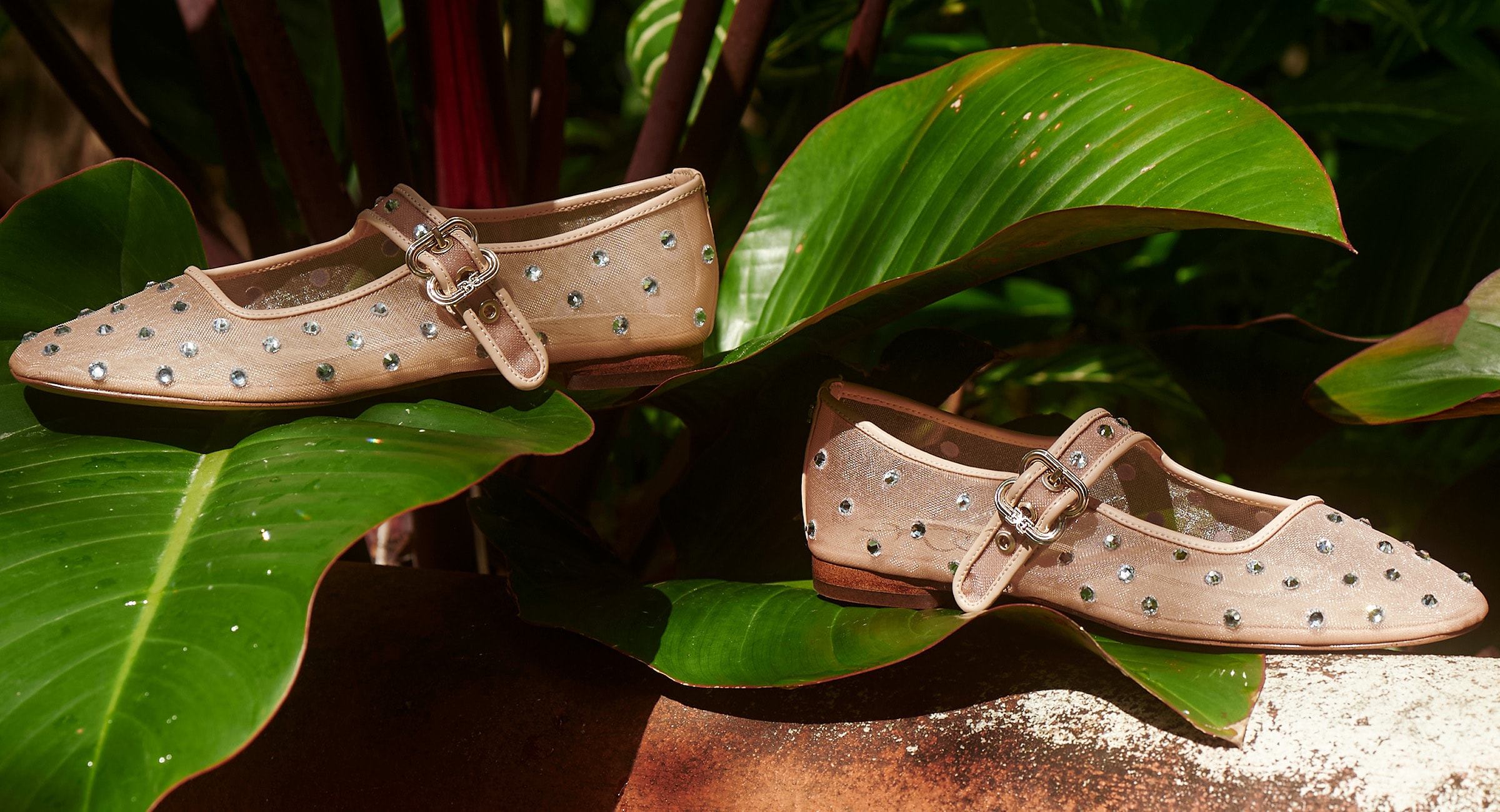 Women's Shoes, Clothing, Bags & Accessories | Sam Edelman Canada