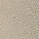 Gold Metallic Leather