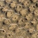 Tan Python Embossed Leather