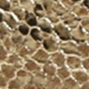Amber Gold Metallic