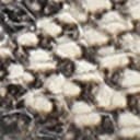 Roccia Snake Leather