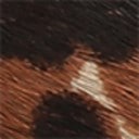 Terra Toffee Multi Brahma